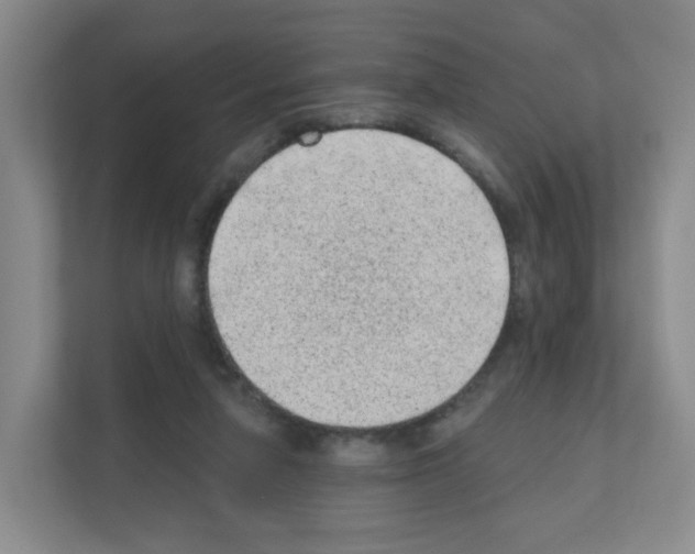 X0000111130258200908111045