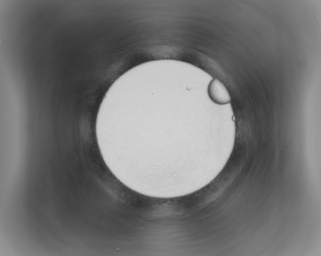 X0000111130259200908111045