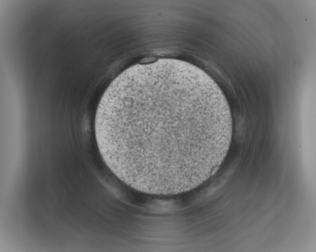 X0000111130260200908111045