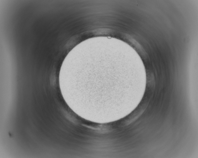 X0000111130261200908111045