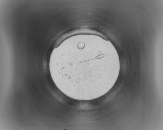 X0000111130262200908111045
