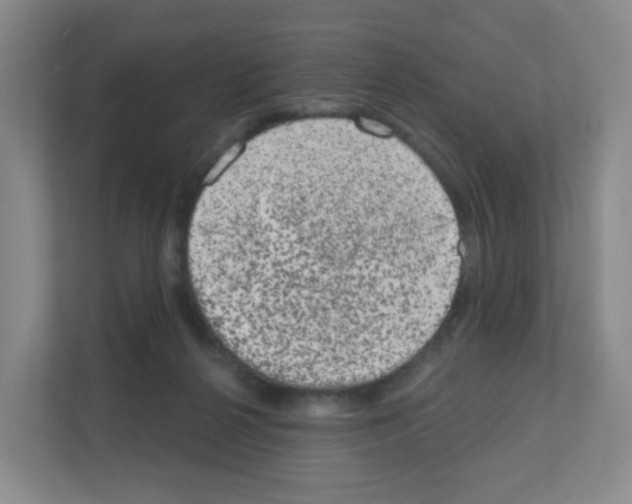 X0000111130264200908111045