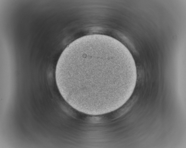 X0000111130265200908111045