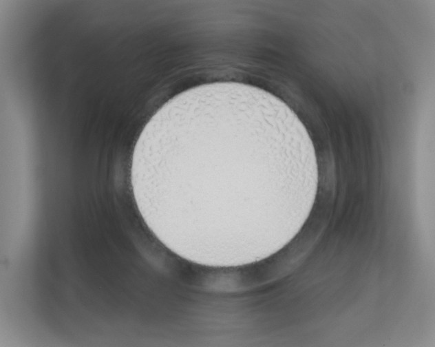 X0000111130266200908111045