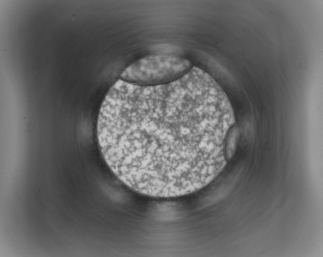 X0000111130268200908111045