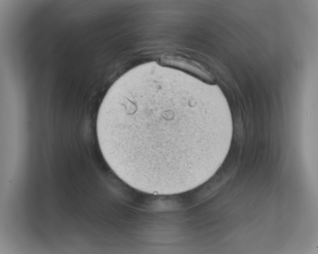 X0000111130270200908111045