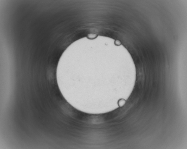 X0000111130275200908111045
