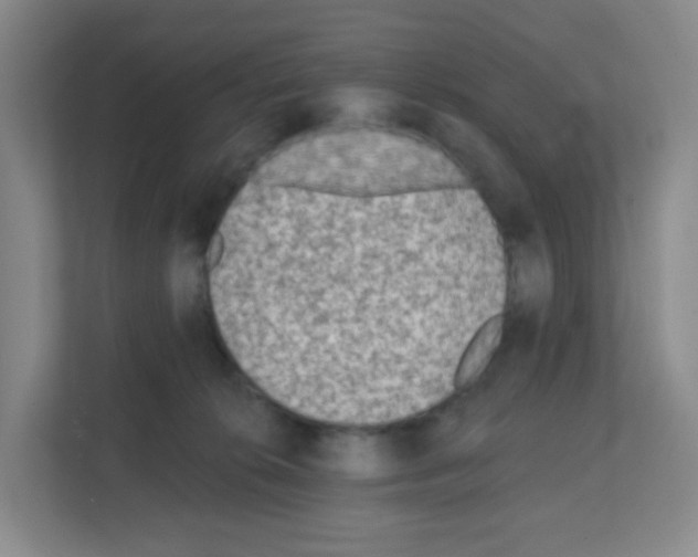 X0000111130276200908111045