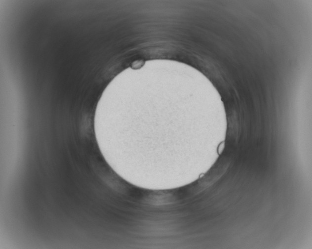 X0000111130278200908111045