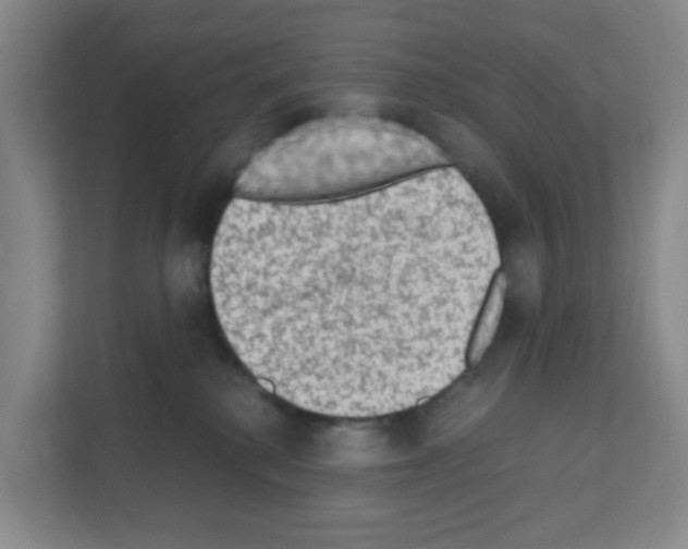 X0000111130280200908111045
