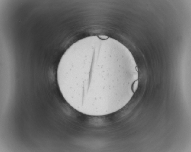 X0000111130282200908111045