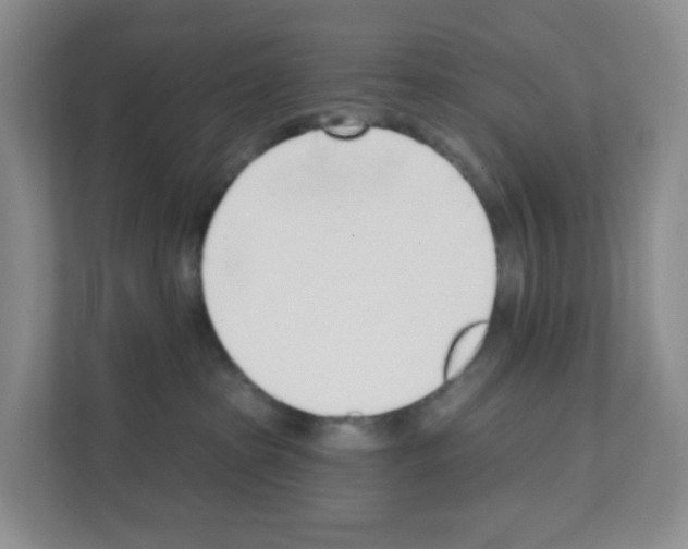 X0000111130285200908111045
