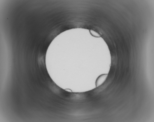 X0000111130286200908111045