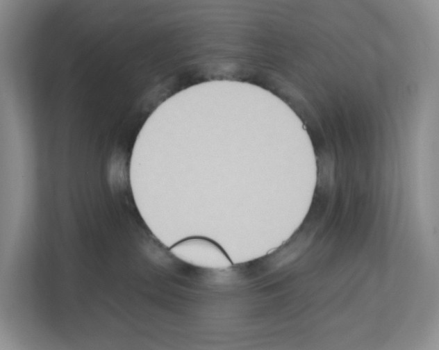 X0000111130287200908111045