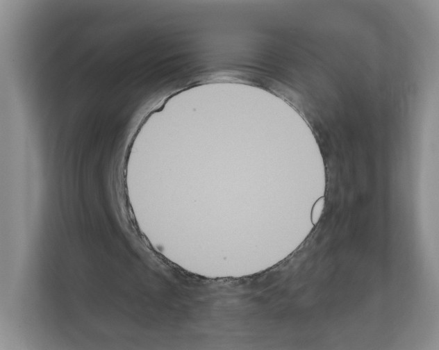 X0000111130289200908111044