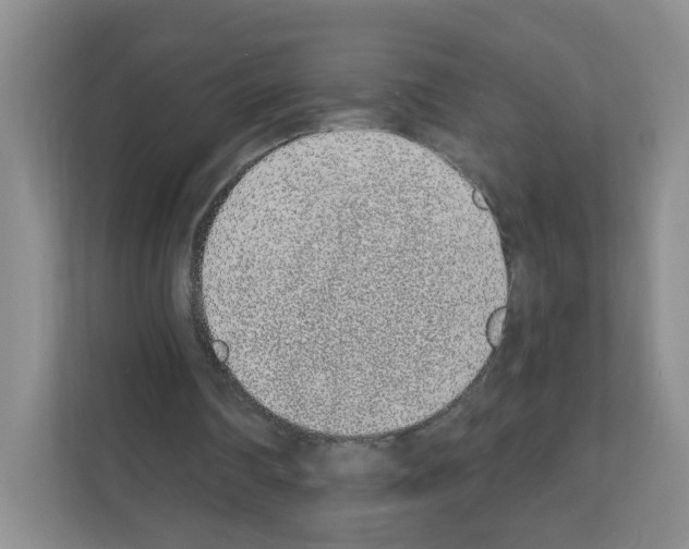 X0000111130290200908111044