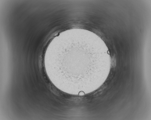 X0000111130291200908111044
