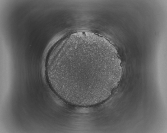 X0000111130293200908111044
