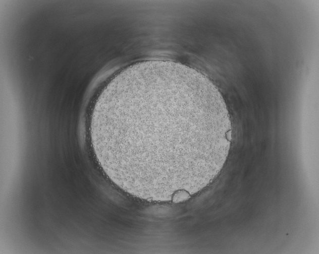 X0000111130294200908111044