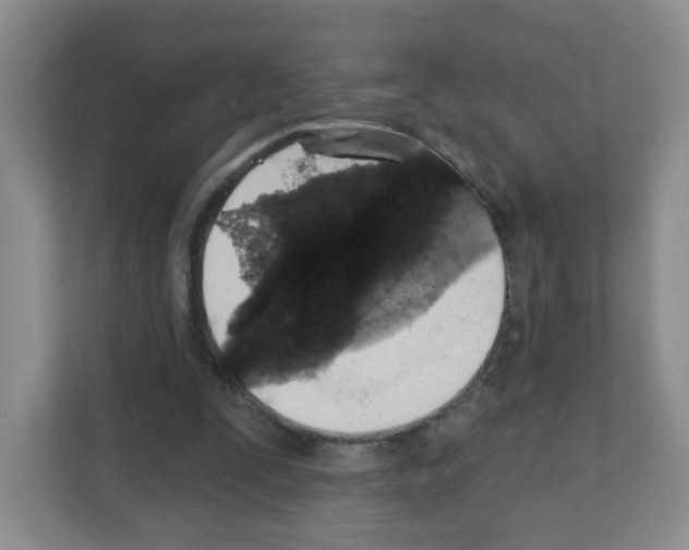 X0000111130295200908111044