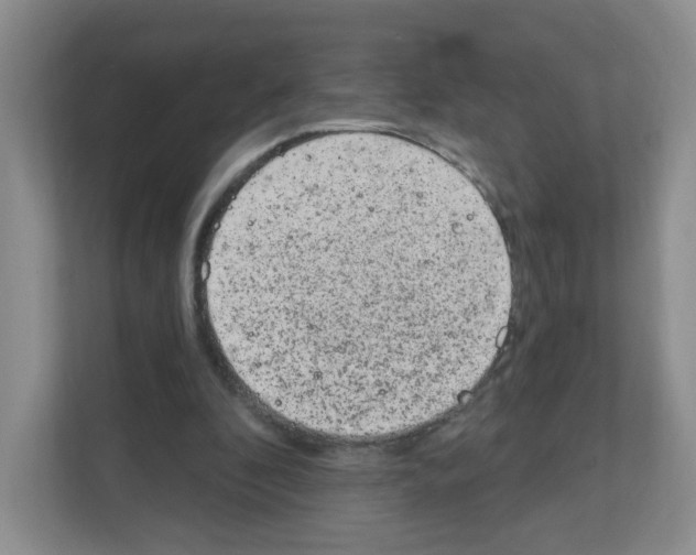 X0000111130296200908111044