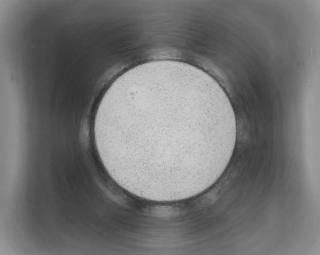 X0000111130298200908111044