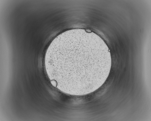 X0000111130299200908111044