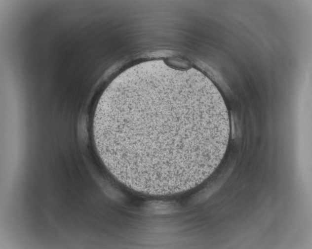 X0000111130300200908111044