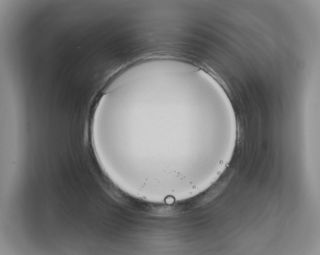 X0000111130301200908111044