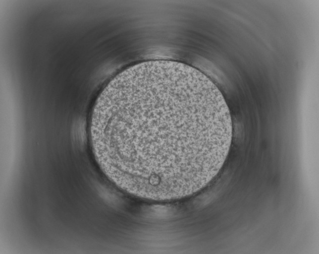 X0000111130302200908111044