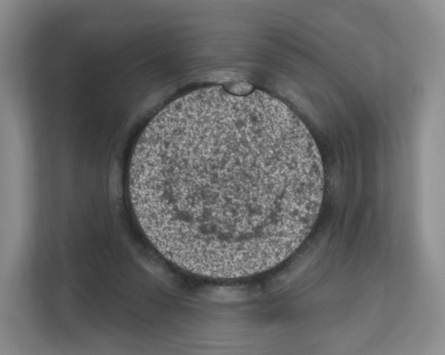 X0000111130303200908111044