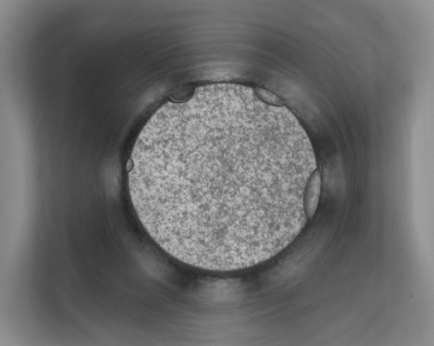 X0000111130304200908111044