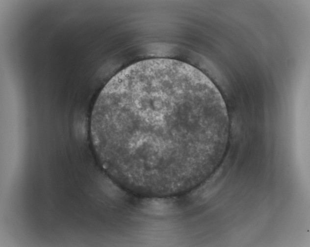 X0000111130305200908111044