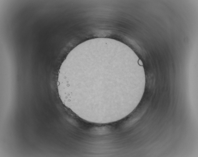 X0000111130307200908111044