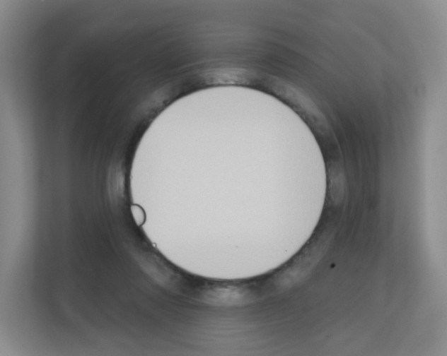 X0000111130310200908111044