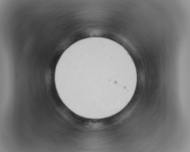 X0000111130311200908111044