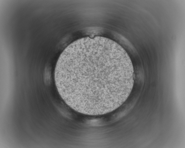 X0000111130312200908111044