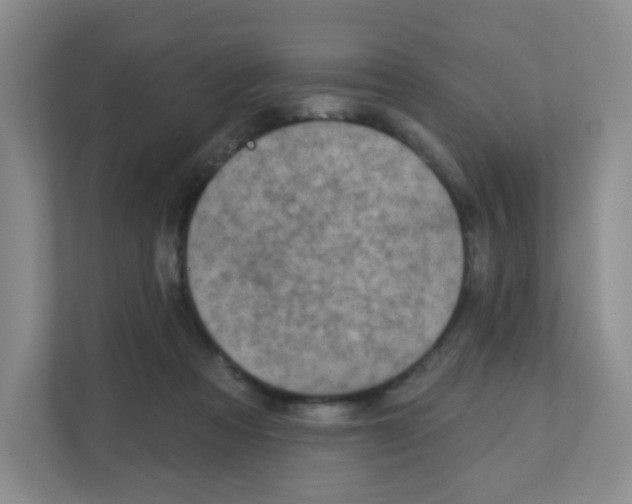 X0000111130313200908111044