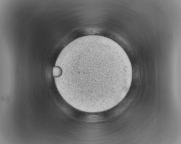 X0000111130315200908111044