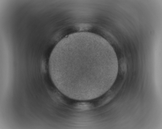X0000111130316200908111044