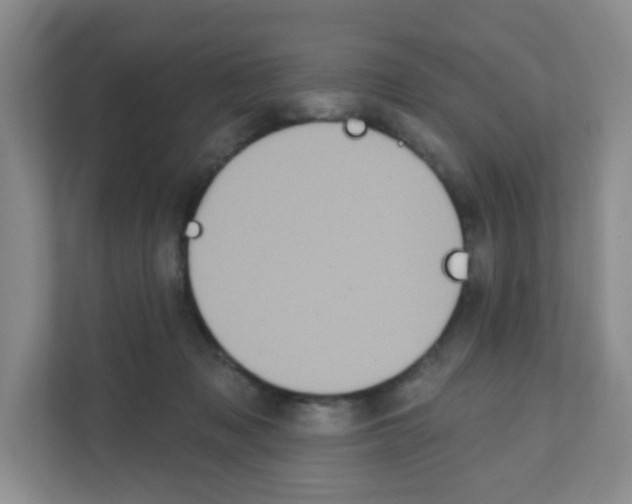 X0000111130317200908111044
