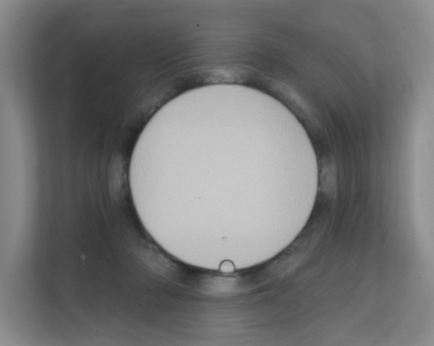 X0000111130318200908111044