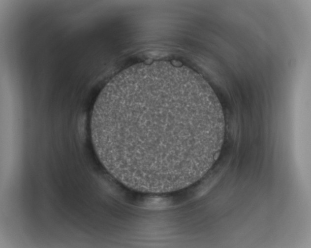 X0000111130319200908111044