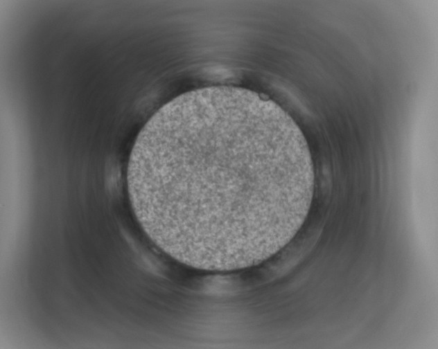 X0000111130320200908111044