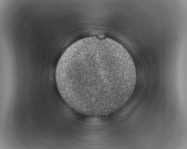 X0000111130325200908111044