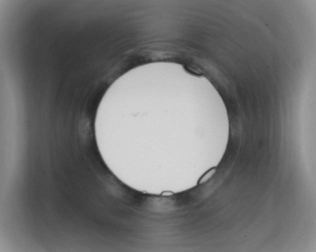 X0000111130327200908111044