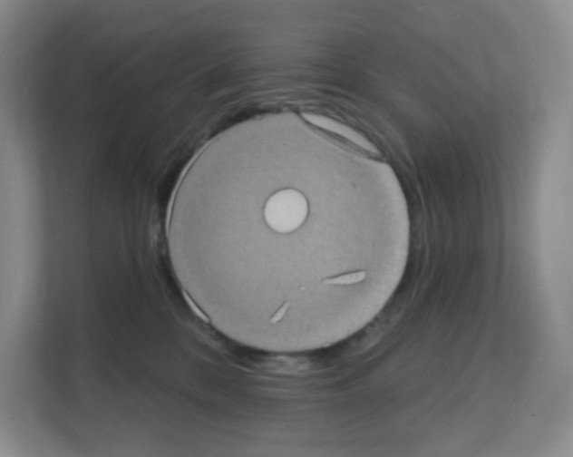 X0000111130328200908111044