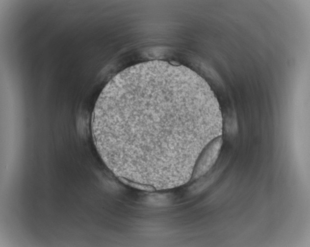 X0000111130332200908111044