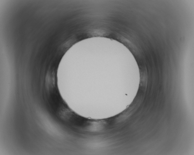 X0000111130334200908111044