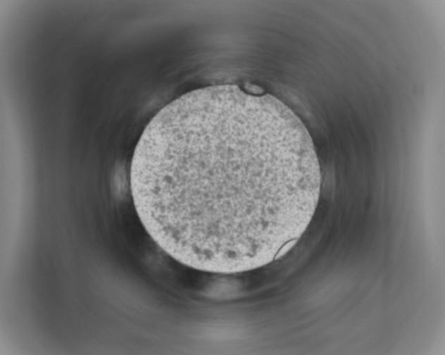 X0000111130335200908111044